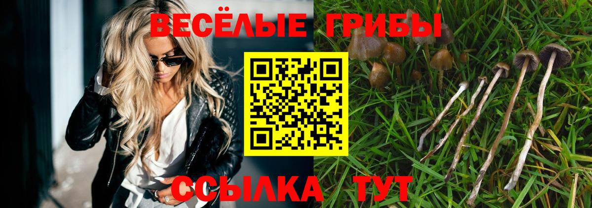 Галлюциногенные грибы ЛСД  Вход с VPN  Саяногорск 
